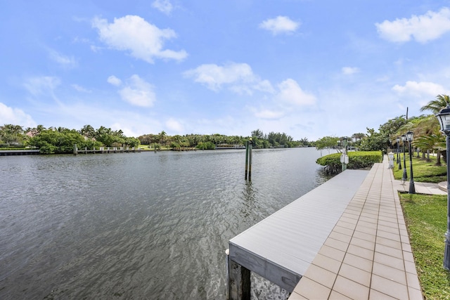 dock area featuring a water view