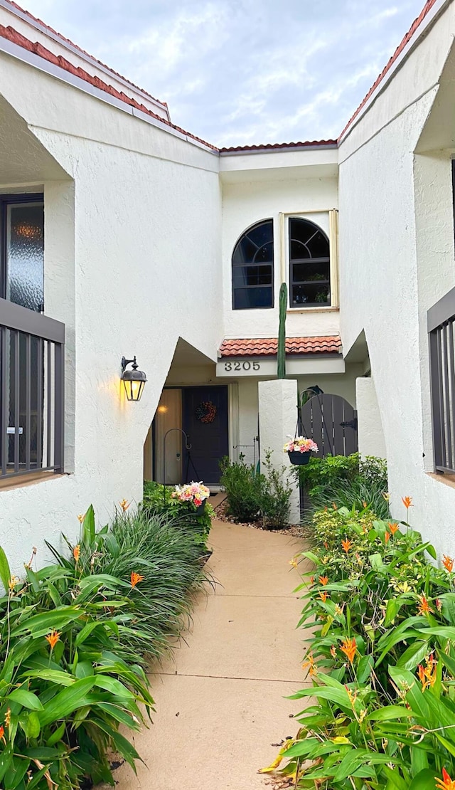 property entrance featuring a tile roof, a patio, and stucco siding