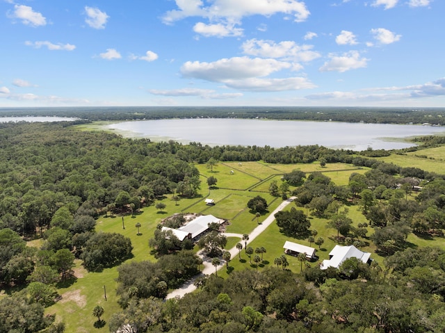 drone / aerial view with a water view and a view of trees