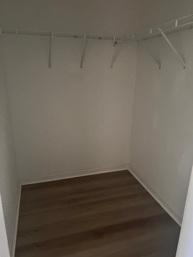 spacious closet with dark wood-type flooring