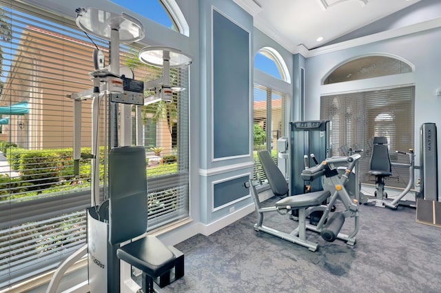 exercise room with ornamental molding, high vaulted ceiling, and carpet floors