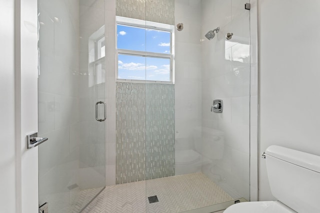 bathroom with toilet and a stall shower