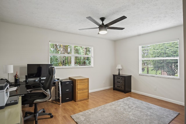 office space featuring a ceiling fan, a wealth of natural light, and light wood-style flooring