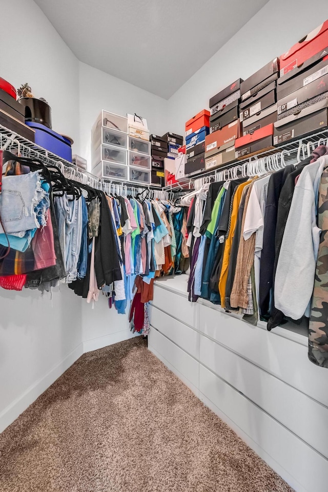 5361 San Benedetto Pl, Fort Pierce, FL 34951 - spacious closet with carpet flooring