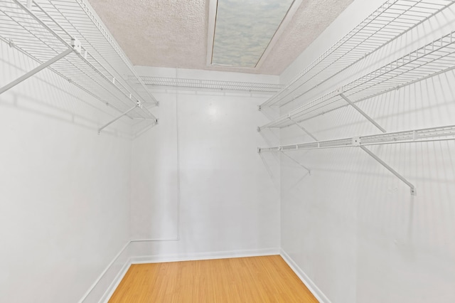 spacious closet featuring wood finished floors