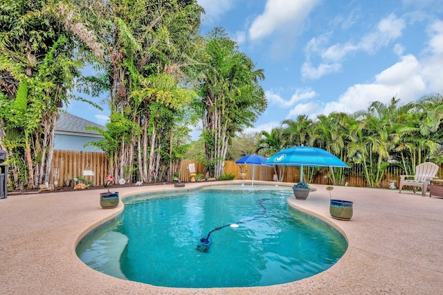 view of swimming pool featuring a fenced in pool, a fenced backyard, and a patio