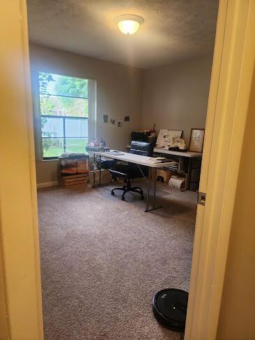 carpeted office featuring a textured ceiling