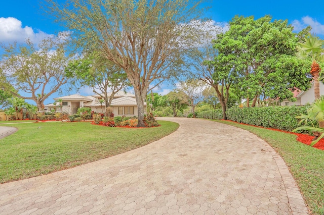 view of front of property with a front lawn, decorative driveway, and stucco siding