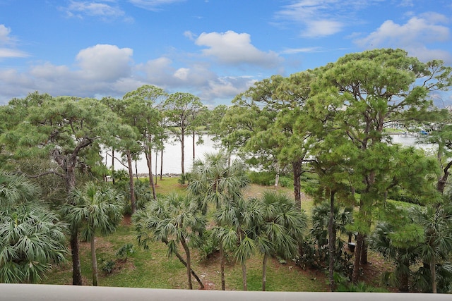 view of landscape featuring a water view