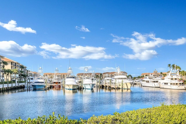 water view with a dock