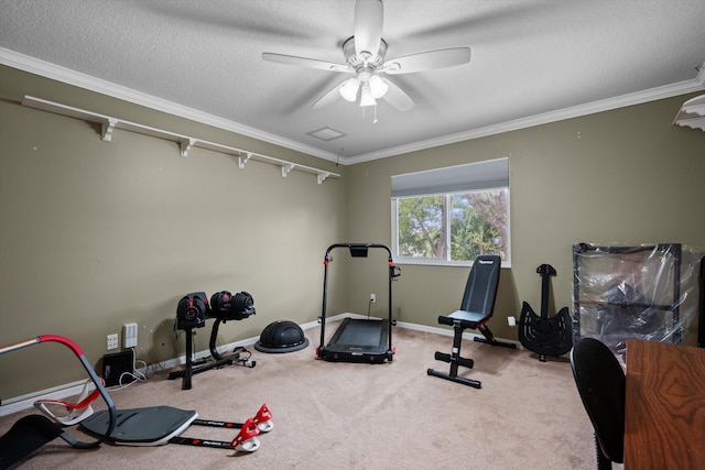 exercise area with carpet, a ceiling fan, crown molding, baseboards, and a textured ceiling