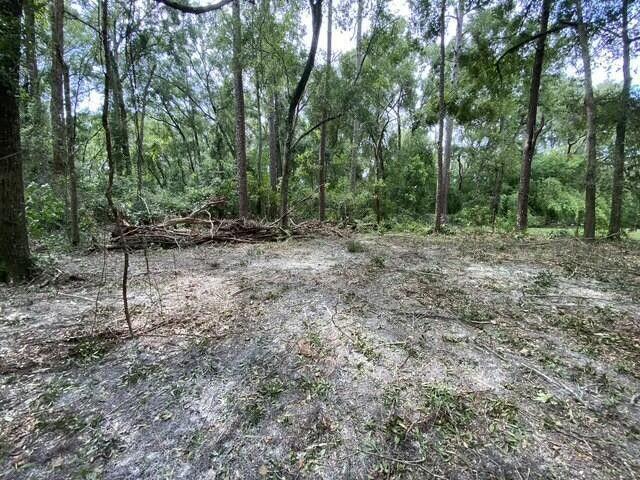 NW 80th Ave, Fanning Springs FL, 32693 land for sale