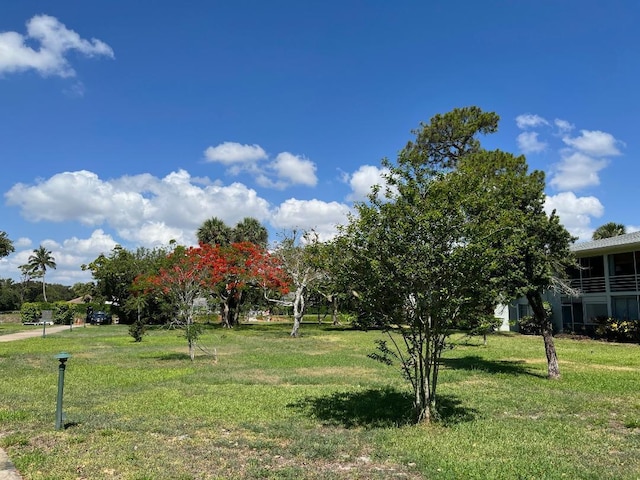 view of yard