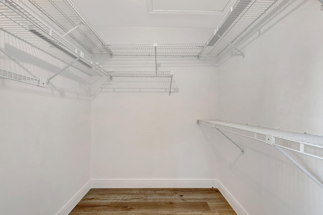 spacious closet featuring wood finished floors