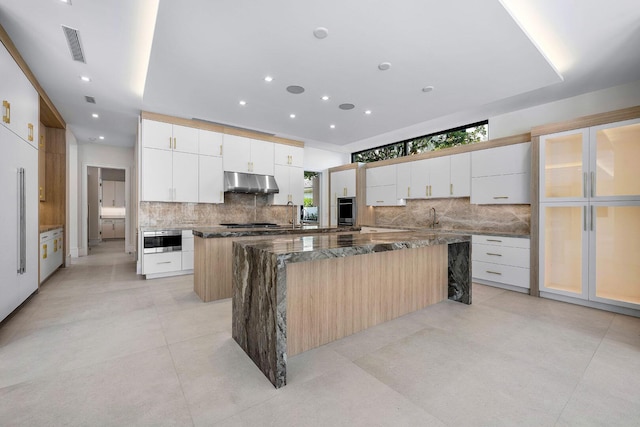 191 W Coconut Palm Rd, Boca Raton, FL 33432 - kitchen featuring a large island, under cabinet range hood, decorative backsplash, modern cabinets, and a sink
