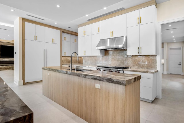191 W Coconut Palm Rd, Boca Raton, FL 33432 - kitchen featuring under cabinet range hood, a sink, decorative backsplash, an island with sink, and light stone counters