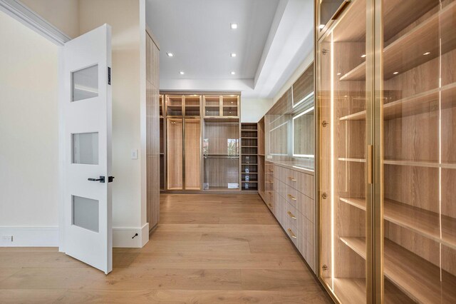 191 W Coconut Palm Rd, Boca Raton, FL 33432 - walk in closet featuring light wood-style floors