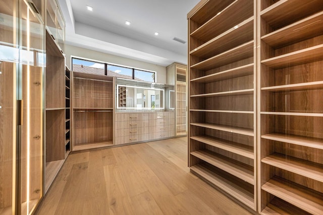 191 W Coconut Palm Rd, Boca Raton, FL 33432 - spacious closet featuring light wood-type flooring