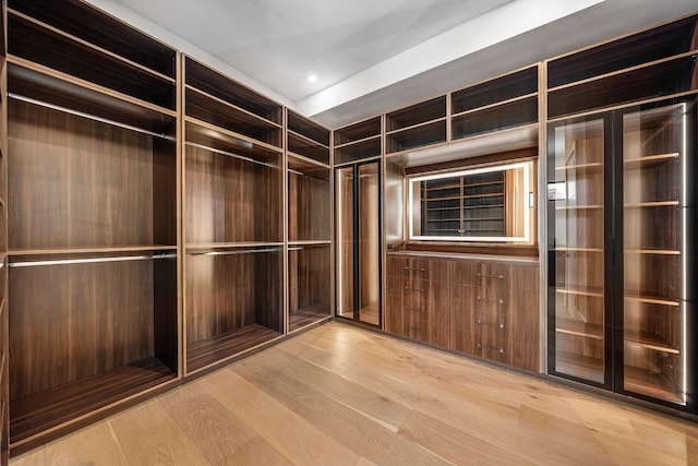 191 W Coconut Palm Rd, Boca Raton, FL 33432 - spacious closet featuring light wood-style floors