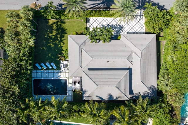 bird's eye view