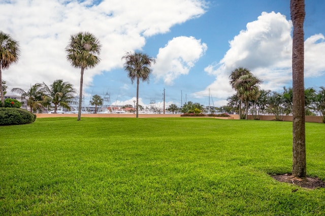 view of community featuring a yard