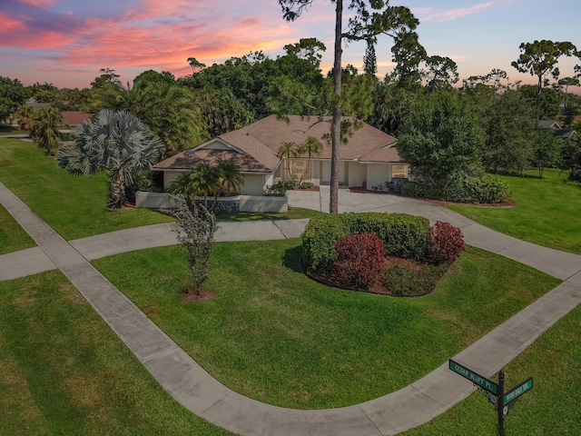 view of front of property featuring a shingled roof, a front yard, and curved driveway