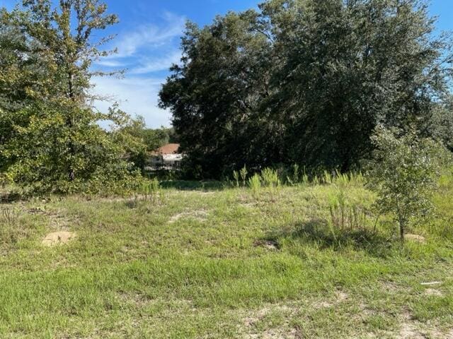 TBD SW 104th St, Dunnellon FL, 34432 land for sale