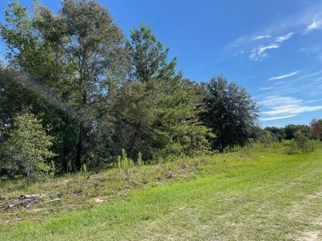 Listing photo 2 for TBD SW 104th St, Dunnellon FL 34432