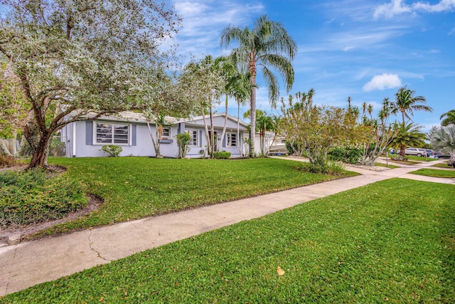 ranch-style home featuring stucco siding and a front yard