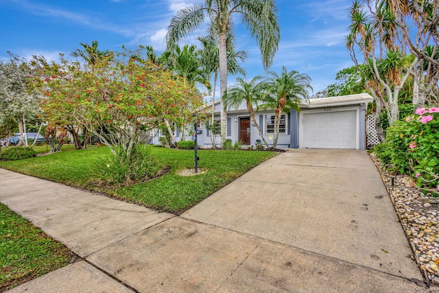 view of front facade featuring an attached garage, driveway, a front yard, and stucco siding