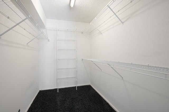 spacious closet featuring carpet floors