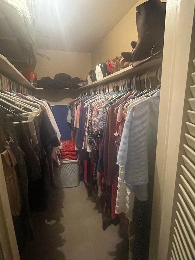 walk in closet featuring lofted ceiling and carpet