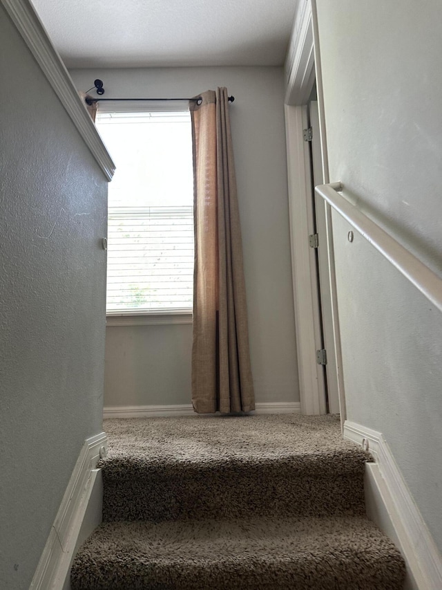 6101 NW Painted Bunting Ct, Port Saint Lucie, FL 34986 - stairs with carpet floors and baseboards