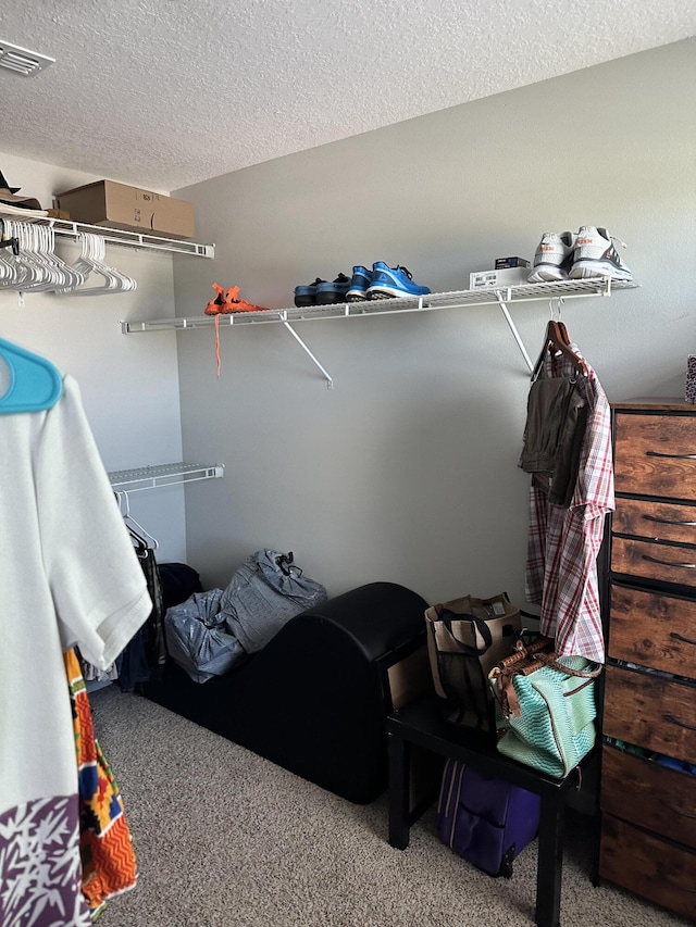 6101 NW Painted Bunting Ct, Port Saint Lucie, FL 34986 - spacious closet featuring carpet