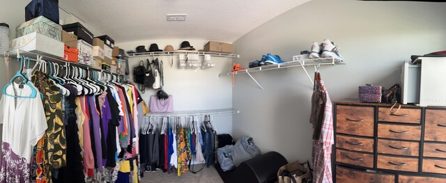 6101 NW Painted Bunting Ct, Port Saint Lucie, FL 34986 - spacious closet featuring carpet flooring and vaulted ceiling