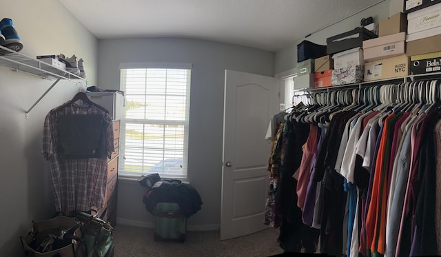 6101 NW Painted Bunting Ct, Port Saint Lucie, FL 34986 - walk in closet featuring carpet floors