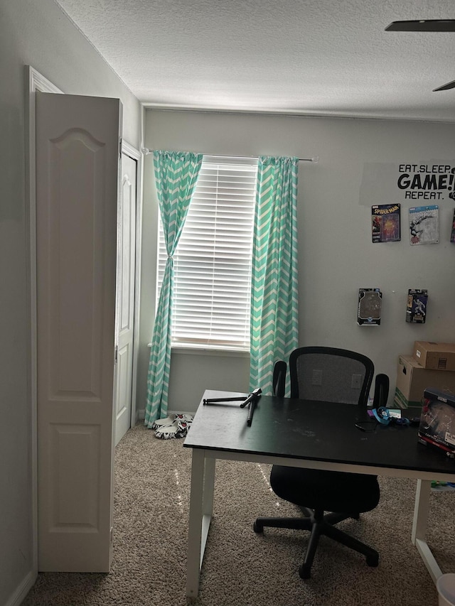 6101 NW Painted Bunting Ct, Port Saint Lucie, FL 34986 - office space with carpet and a textured ceiling