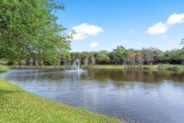 water view