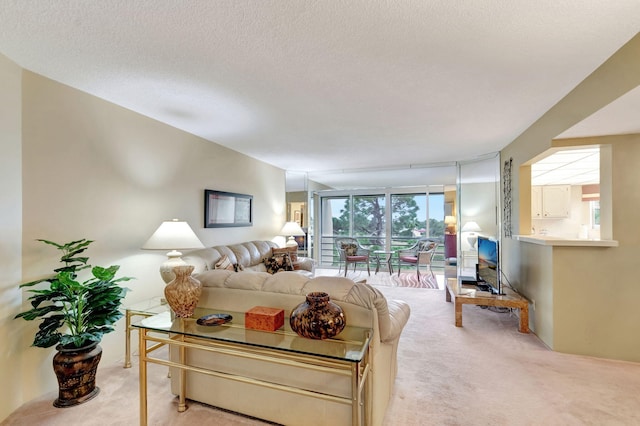 living room with light carpet and a textured ceiling