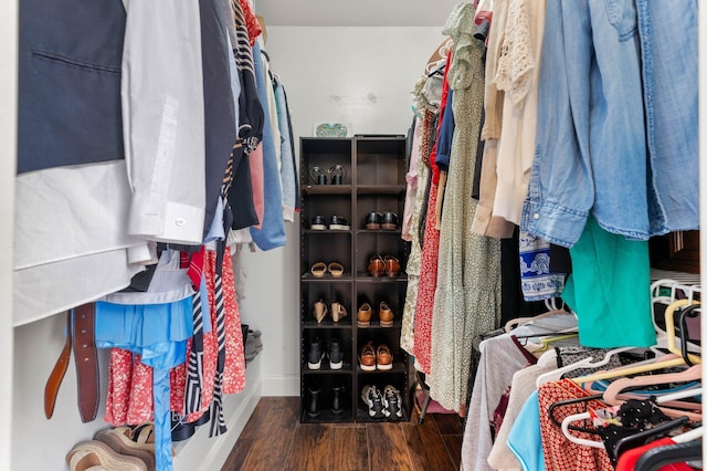 9965 NW 6th Ct, Plantation, FL 33324 - walk in closet featuring dark wood-type flooring