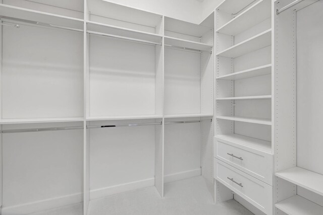 view of walk in closet