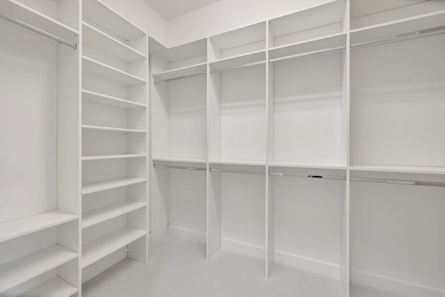 view of walk in closet