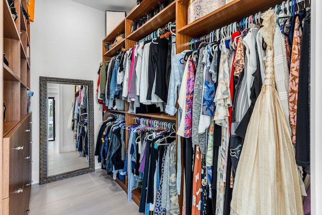 spacious closet featuring wood finished floors