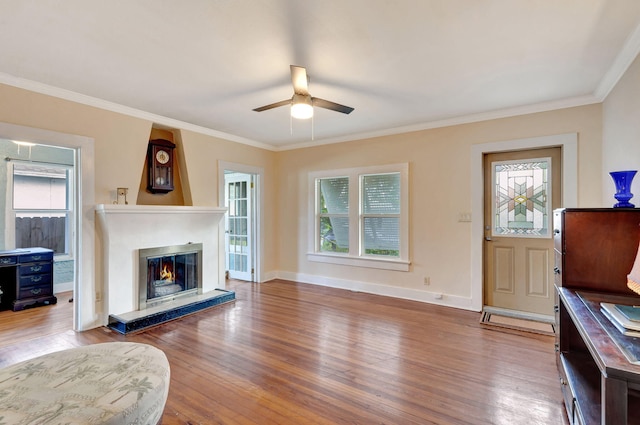 living room with plenty of natural light, a premium fireplace, and wood finished floors