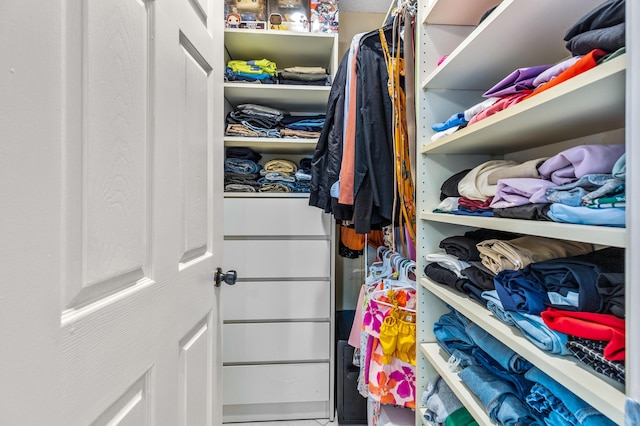 view of spacious closet