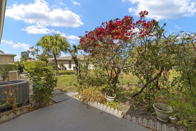 view of yard featuring a patio area and central AC