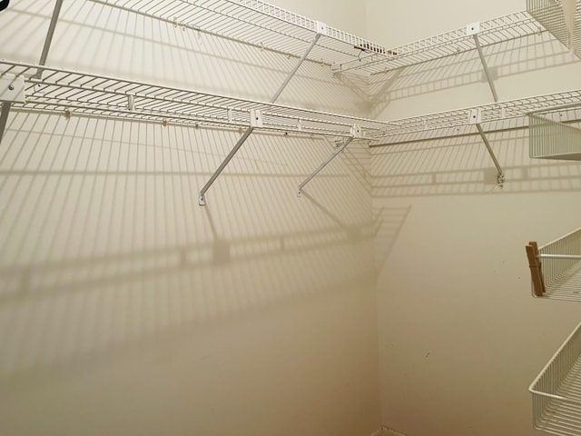 14 Lake Vista Trl Unit 102, Port Saint Lucie, FL 34952 - view of walk in closet