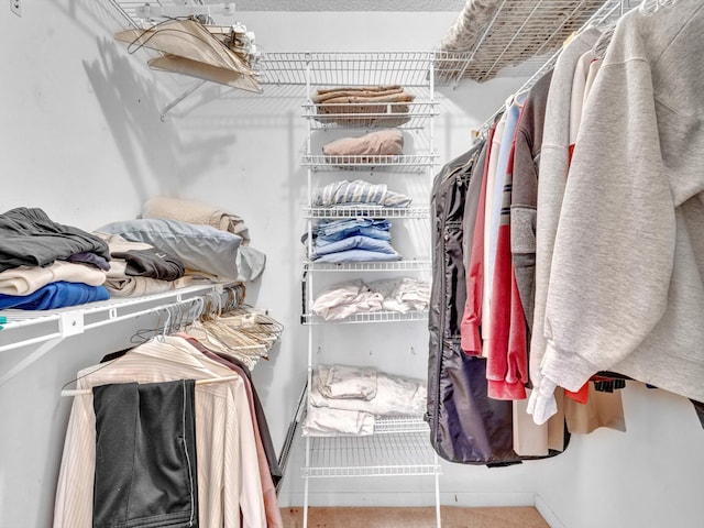 spacious closet featuring carpet flooring