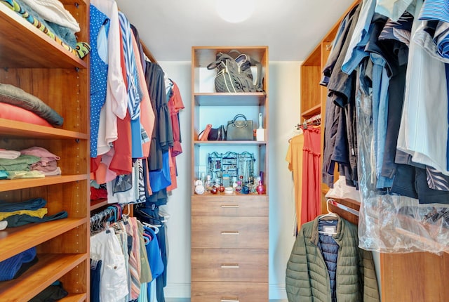 view of spacious closet