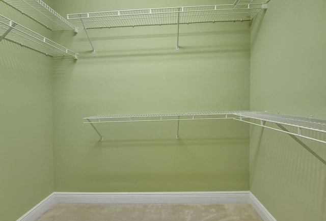 walk in closet with carpet